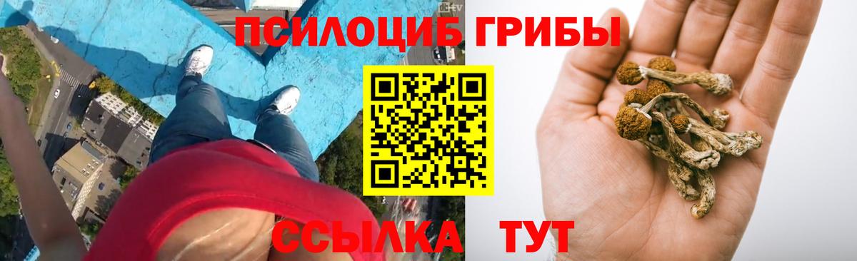 Рузаевка  цены   Вход с VPN  Галлюциногенные грибы Psilocybine cubensis  Галлюциногенные грибы Magic Shrooms 